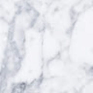 Meet your Posher, Abigail